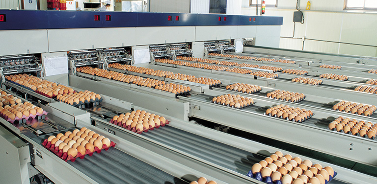 Application of high speed turbine blower in food industry
